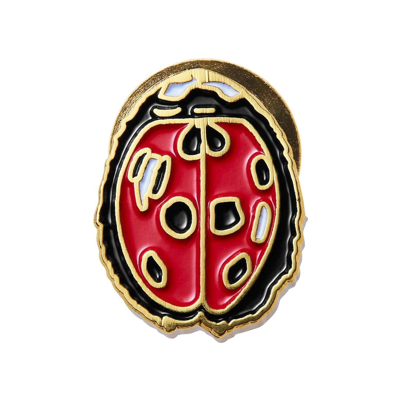 Ladybug Pin